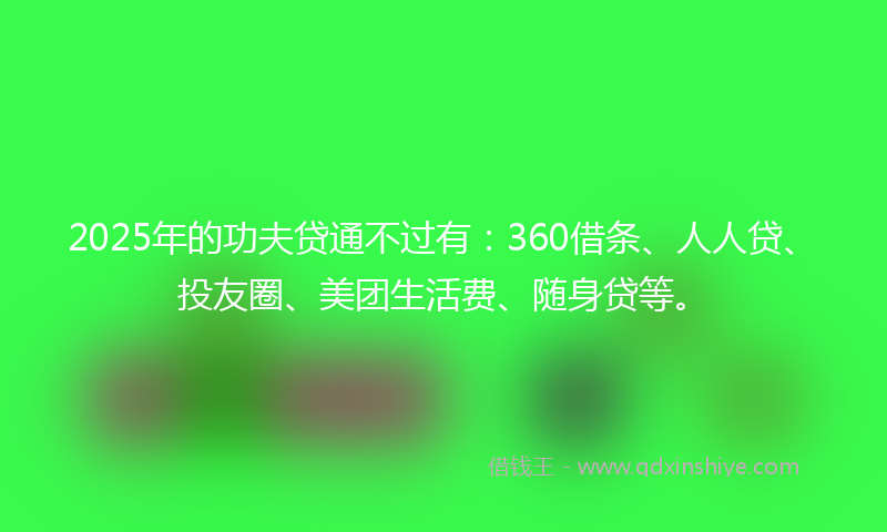 2025年的功夫贷通不过有：360借条、人人贷、投友圈、美团生活费、随身贷等。