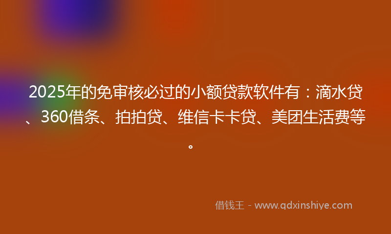 2025年的免审核必过的小额贷款软件有：滴水贷、360借条、拍拍贷、维信卡卡贷、美团生活费等。