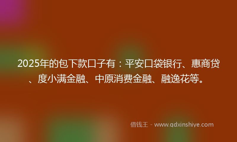 2025年的包下款口子有：平安口袋银行、惠商贷、度小满金融、中原消费金融、融逸花等。