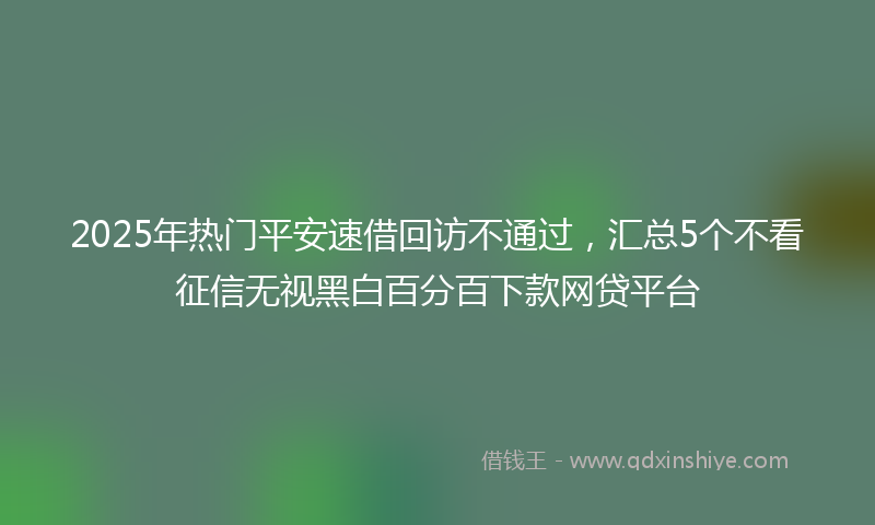 2025年热门平安速借回访不通过，汇总5个不看征信无视黑白百分百下款网贷平台