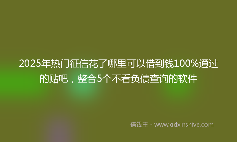 2025年热门征信花了哪里可以借到钱100%通过的贴吧，整合5个不看负债查询的软件