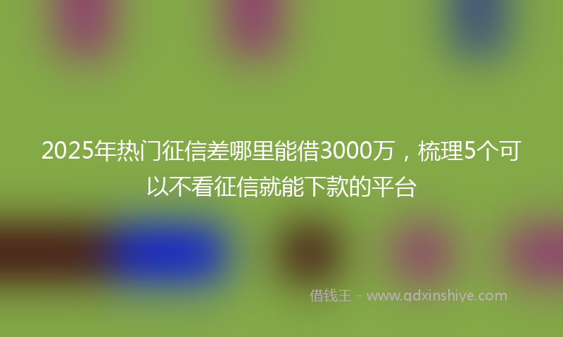 2025年热门征信差哪里能借3000万，梳理5个可以不看征信就能下款的平台