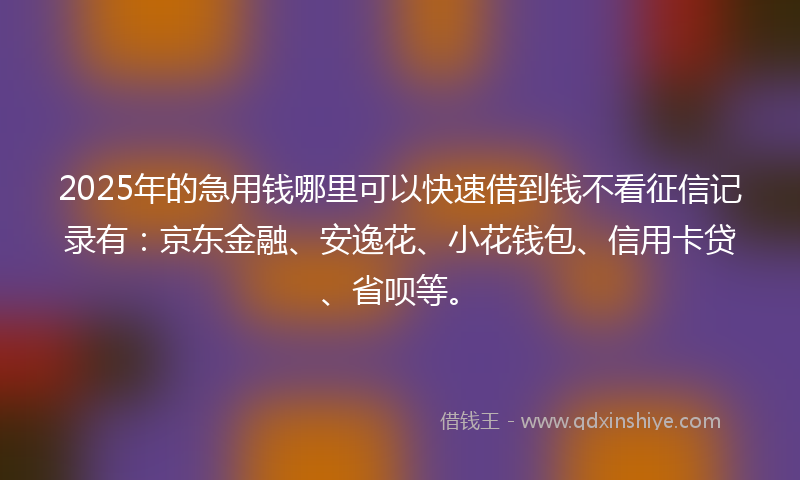 2025年的急用钱哪里可以快速借到钱不看征信记录有：京东金融、安逸花、小花钱包、信用卡贷、省呗等。