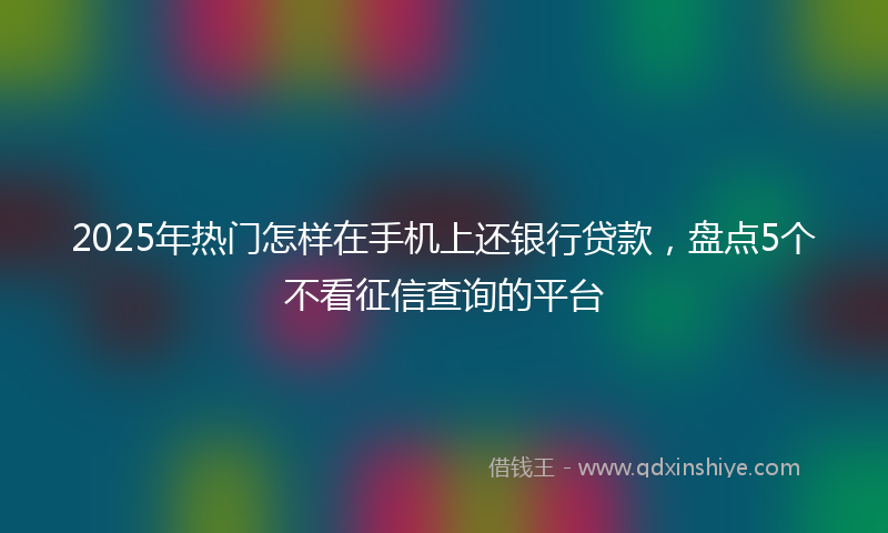 2025年热门怎样在手机上还银行贷款，盘点5个不看征信查询的平台