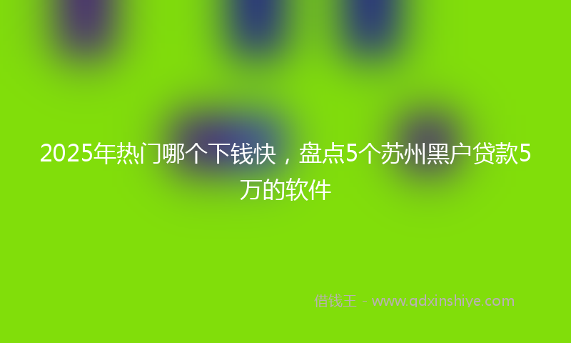 2025年热门哪个下钱快，盘点5个苏州黑户贷款5万的软件
