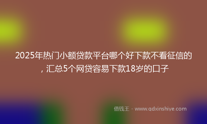 2025年热门小额贷款平台哪个好下款不看征信的，汇总5个网贷容易下款18岁的口子