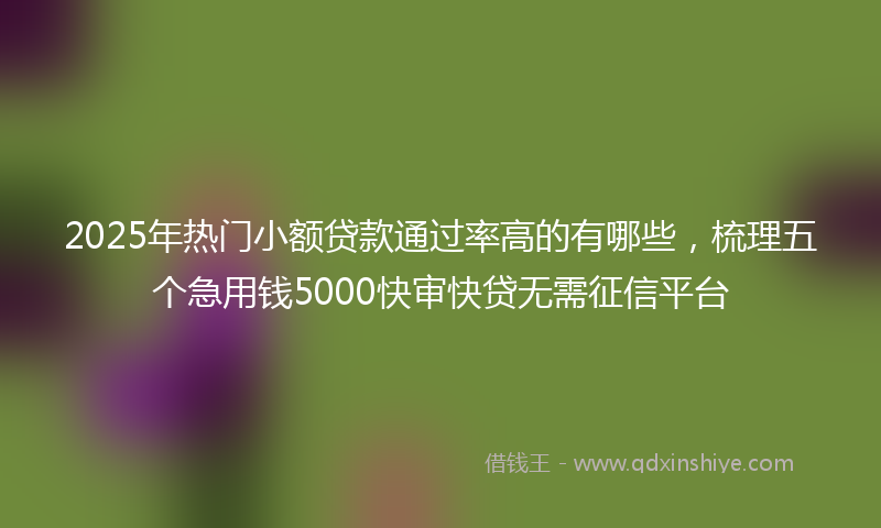 2025年热门小额贷款通过率高的有哪些，梳理五个急用钱5000快审快贷无需征信平台