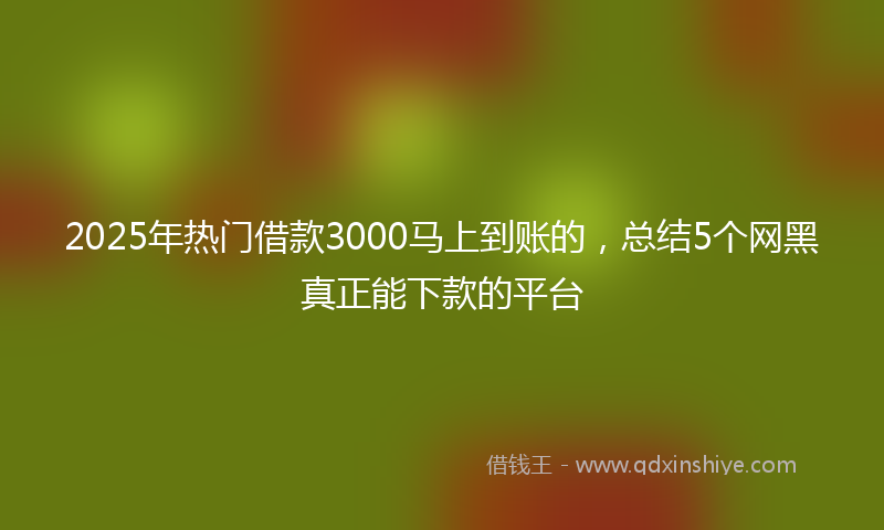 2025年热门借款3000马上到账的，总结5个网黑真正能下款的平台