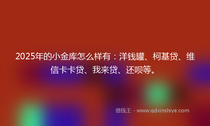 2025年的小金库怎么样有：洋钱罐、柯基贷、维信卡卡贷、我来贷、还呗等。