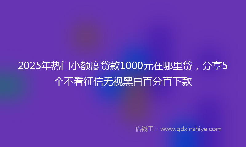 2025年热门小额度贷款1000元在哪里贷，分享5个不看征信无视黑白百分百下款