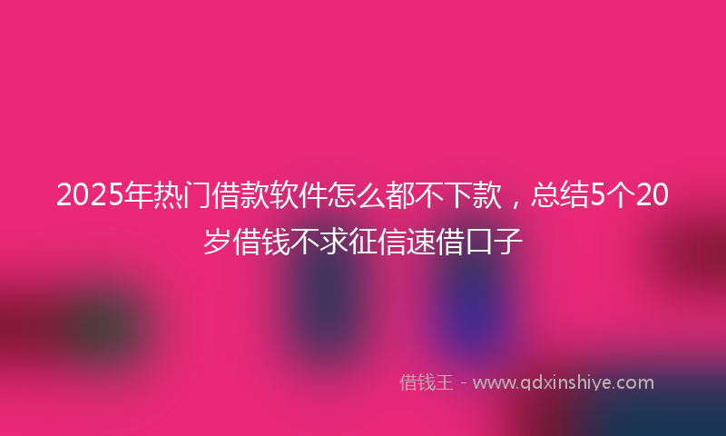 2025年热门借款软件怎么都不下款，总结5个20岁借钱不求征信速借口子