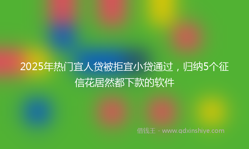 2025年热门宜人贷被拒宜小贷通过，归纳5个征信花居然都下款的软件