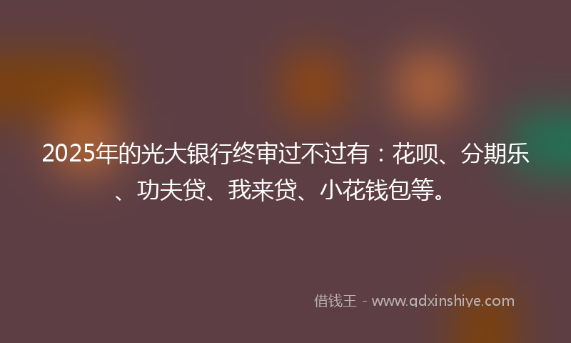2025年的光大银行终审过不过有：花呗、分期乐、功夫贷、我来贷、小花钱包等。