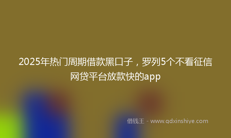 2025年热门周期借款黑口子，罗列5个不看征信网贷平台放款快的app