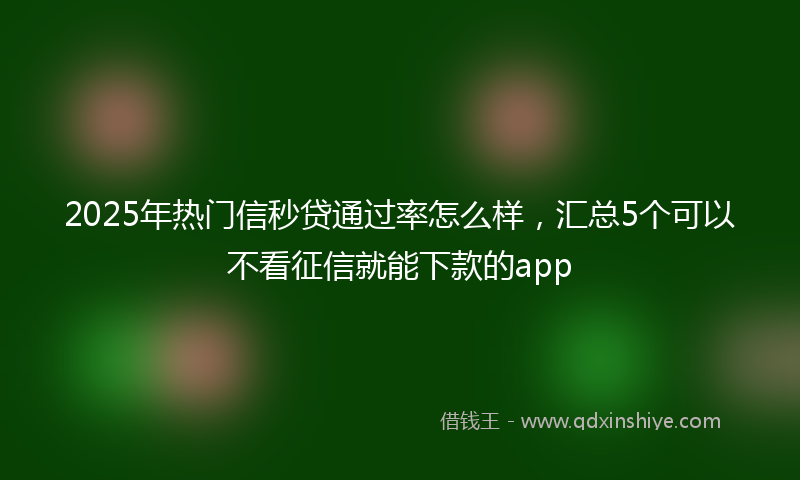 2025年热门信秒贷通过率怎么样，汇总5个可以不看征信就能下款的app