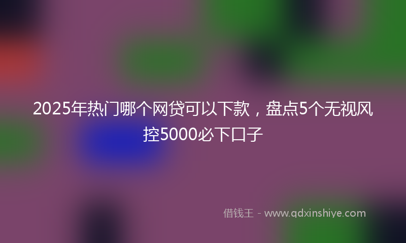 2025年热门哪个网贷可以下款，盘点5个无视风控5000必下口子