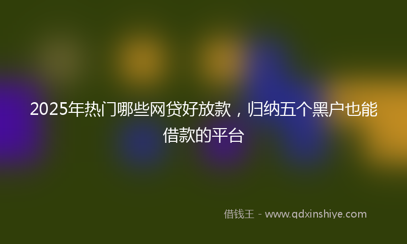 2025年热门哪些网贷好放款，归纳五个黑户也能借款的平台