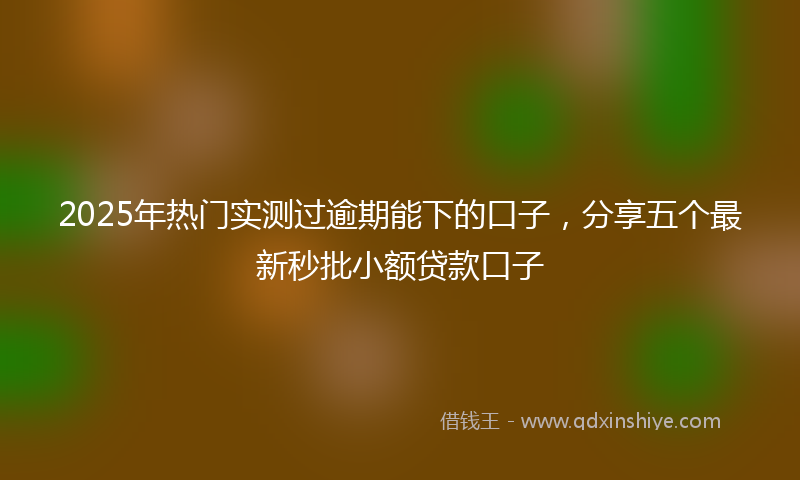 2025年热门实测过逾期能下的口子，分享五个最新秒批小额贷款口子