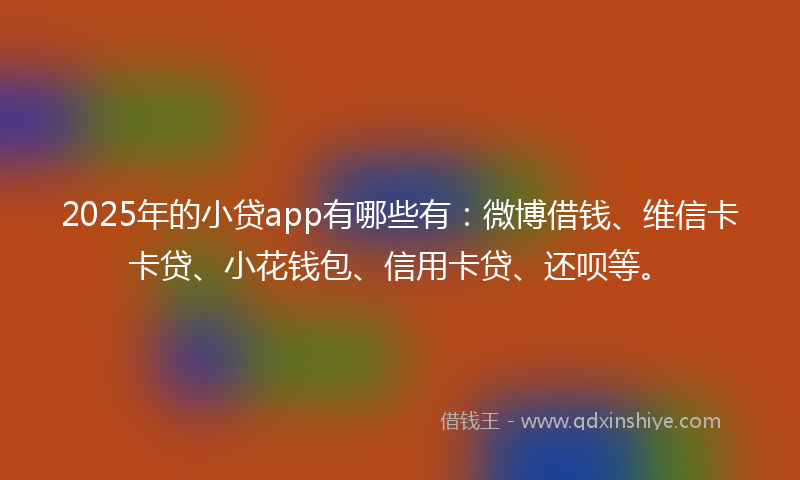 2025年的小贷app有哪些有：微博借钱、维信卡卡贷、小花钱包、信用卡贷、还呗等。