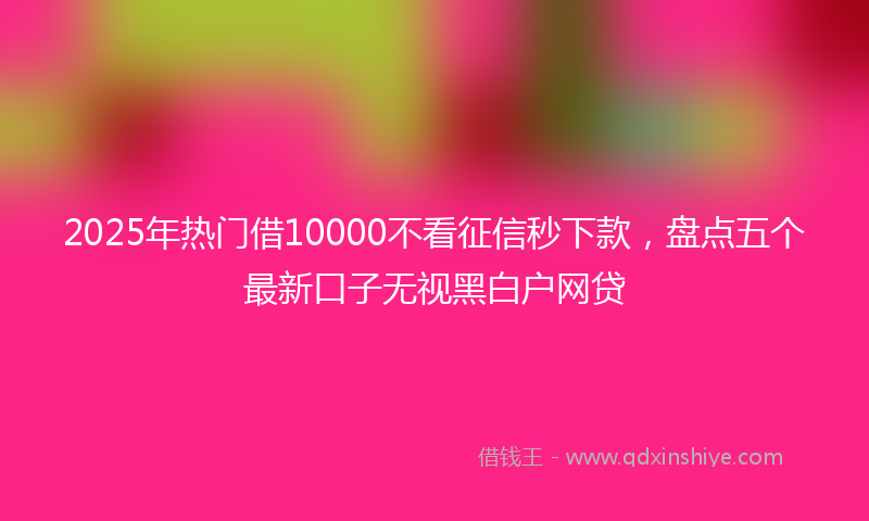 2025年热门借10000不看征信秒下款，盘点五个最新口子无视黑白户网贷