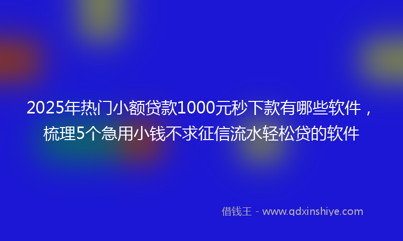 2025年热门小额贷款1000元秒下款有哪些软件，梳理5个急用小钱不求征信流水轻松贷的软件