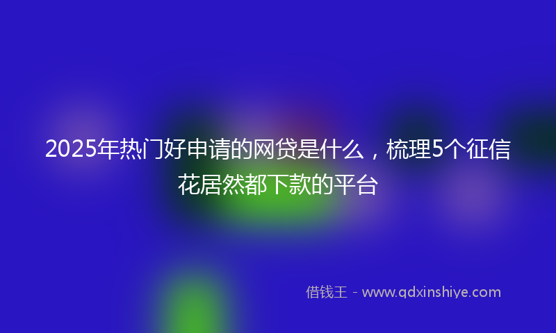 2025年热门好申请的网贷是什么，梳理5个征信花居然都下款的平台