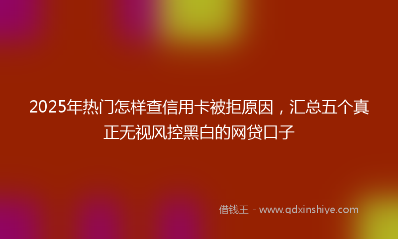 2025年热门怎样查信用卡被拒原因，汇总五个真正无视风控黑白的网贷口子