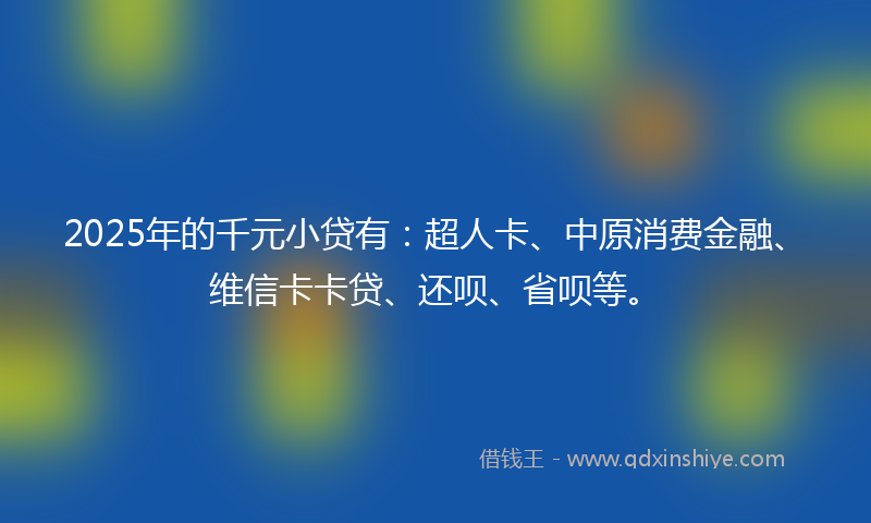 2025年的千元小贷有：超人卡、中原消费金融、维信卡卡贷、还呗、省呗等。