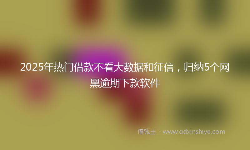 2025年热门借款不看大数据和征信，归纳5个网黑逾期下款软件