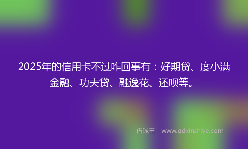 2025年的信用卡不过咋回事有：好期贷、度小满金融、功夫贷、融逸花、还呗等。