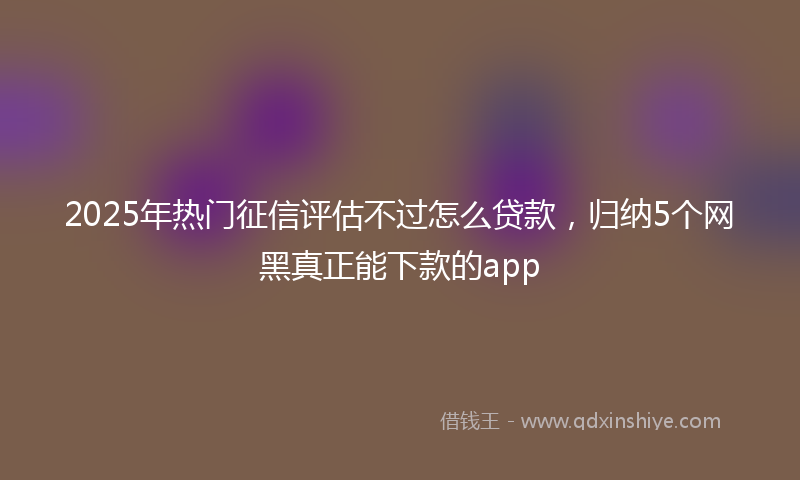 2025年热门征信评估不过怎么贷款，归纳5个网黑真正能下款的app