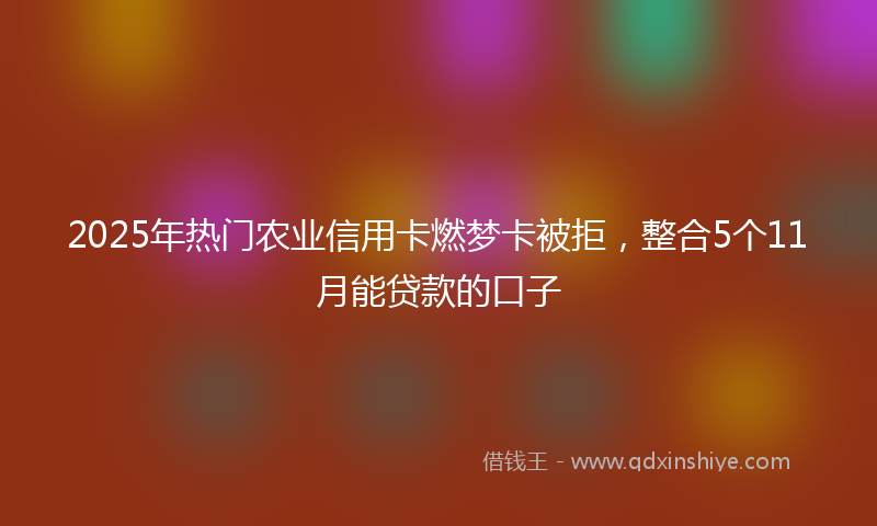 2025年热门农业信用卡燃梦卡被拒，整合5个11月能贷款的口子