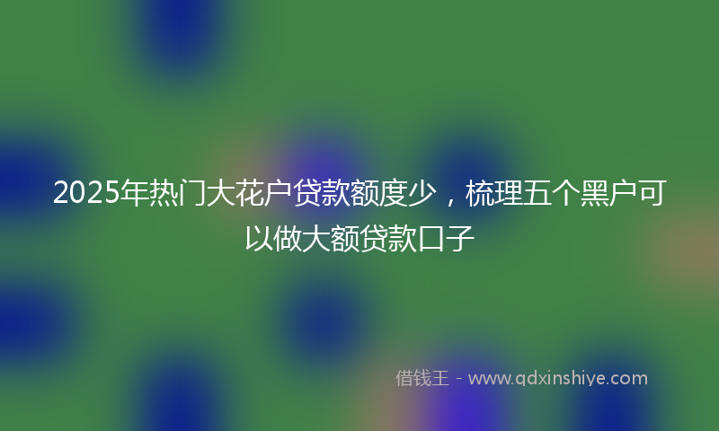 2025年热门大花户贷款额度少，梳理五个黑户可以做大额贷款口子