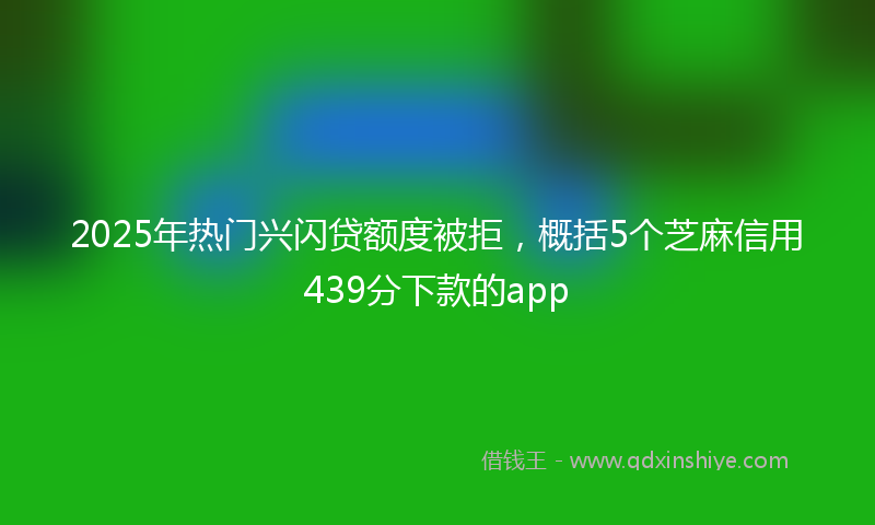 2025年热门兴闪贷额度被拒，概括5个芝麻信用439分下款的app