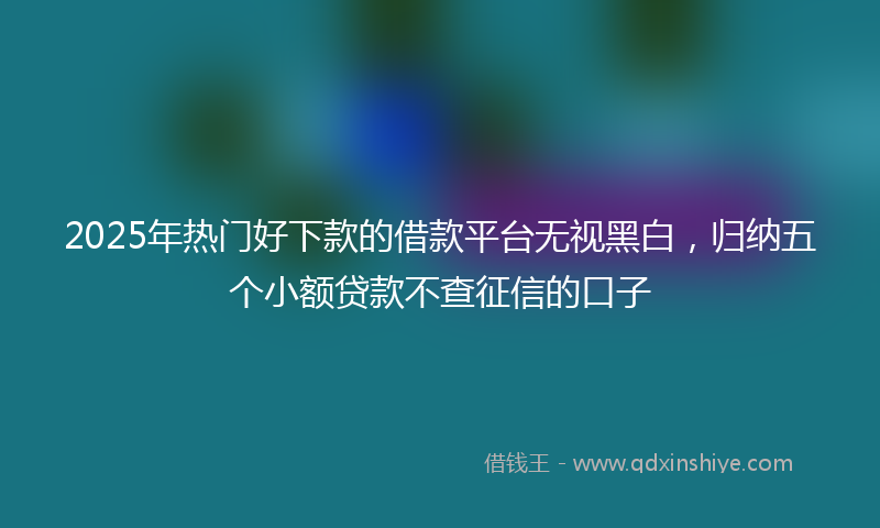 2025年热门好下款的借款平台无视黑白，归纳五个小额贷款不查征信的口子