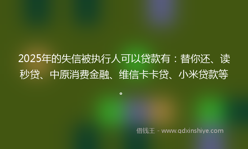 2025年的失信被执行人可以贷款有：替你还、读秒贷、中原消费金融、维信卡卡贷、小米贷款等。
