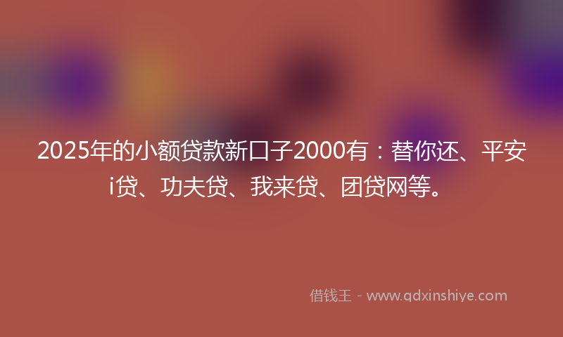 2025年的小额贷款新口子2000有：替你还、平安i贷、功夫贷、我来贷、团贷网等。