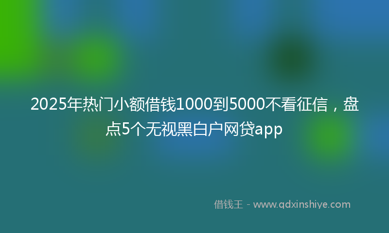 2025年热门小额借钱1000到5000不看征信，盘点5个无视黑白户网贷app