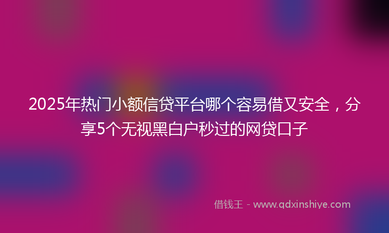 2025年热门小额信贷平台哪个容易借又安全，分享5个无视黑白户秒过的网贷口子