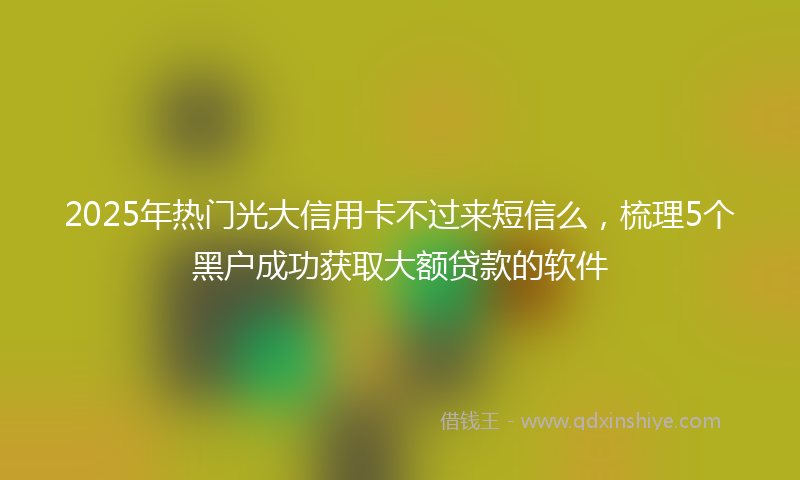 2025年热门光大信用卡不过来短信么，梳理5个黑户成功获取大额贷款的软件