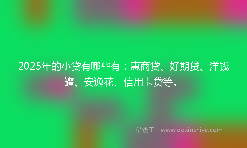 2025年的小贷有哪些有：惠商贷、好期贷、洋钱罐、安逸花、信用卡贷等。