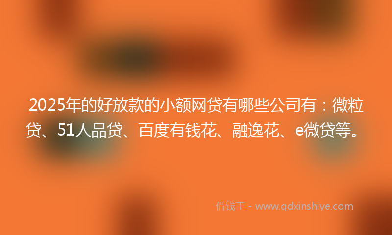 2025年的好放款的小额网贷有哪些公司有：微粒贷、51人品贷、百度有钱花、融逸花、e微贷等。