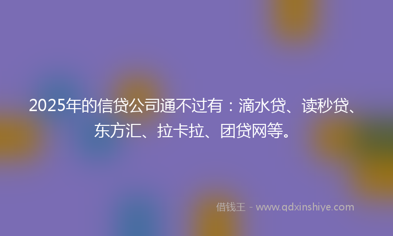 2025年的信贷公司通不过有：滴水贷、读秒贷、东方汇、拉卡拉、团贷网等。