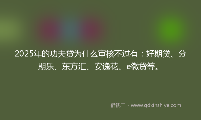 2025年的功夫贷为什么审核不过有：好期贷、分期乐、东方汇、安逸花、e微贷等。