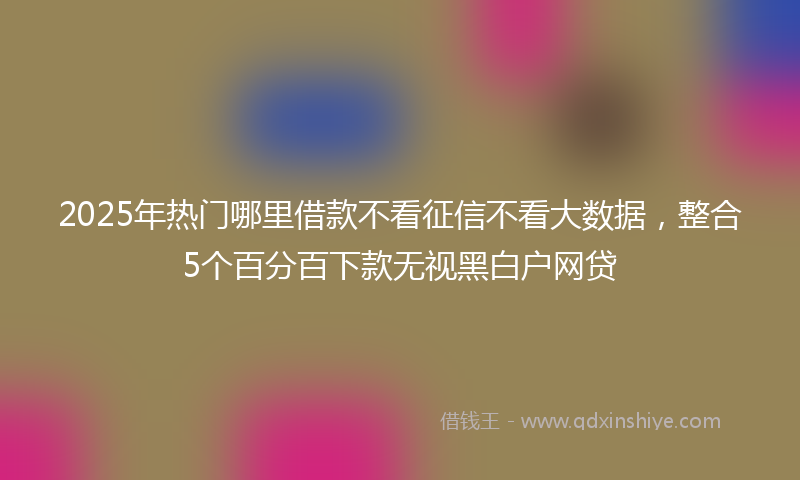 2025年热门哪里借款不看征信不看大数据，整合5个百分百下款无视黑白户网贷