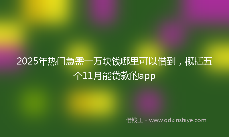 2025年热门急需一万块钱哪里可以借到，概括五个11月能贷款的app