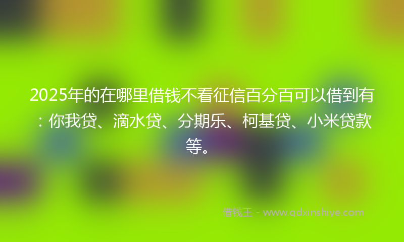 2025年的在哪里借钱不看征信百分百可以借到有：你我贷、滴水贷、分期乐、柯基贷、小米贷款等。