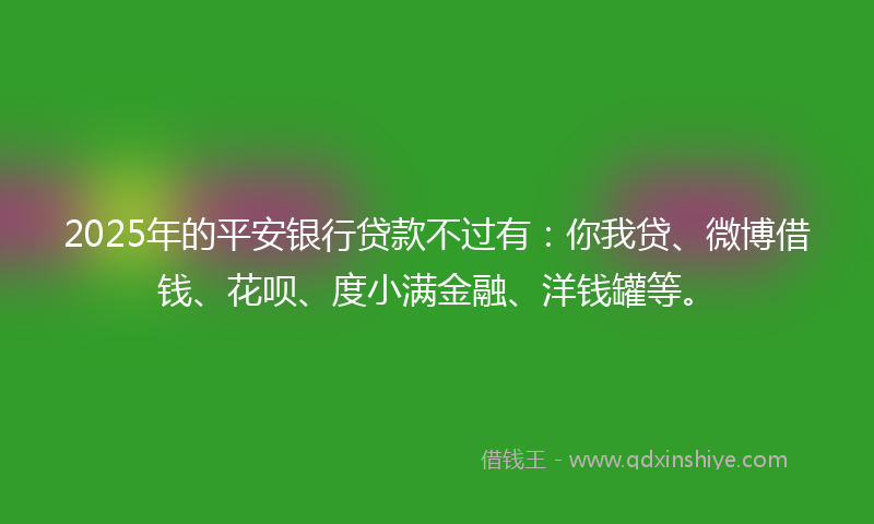 2025年的平安银行贷款不过有：你我贷、微博借钱、花呗、度小满金融、洋钱罐等。