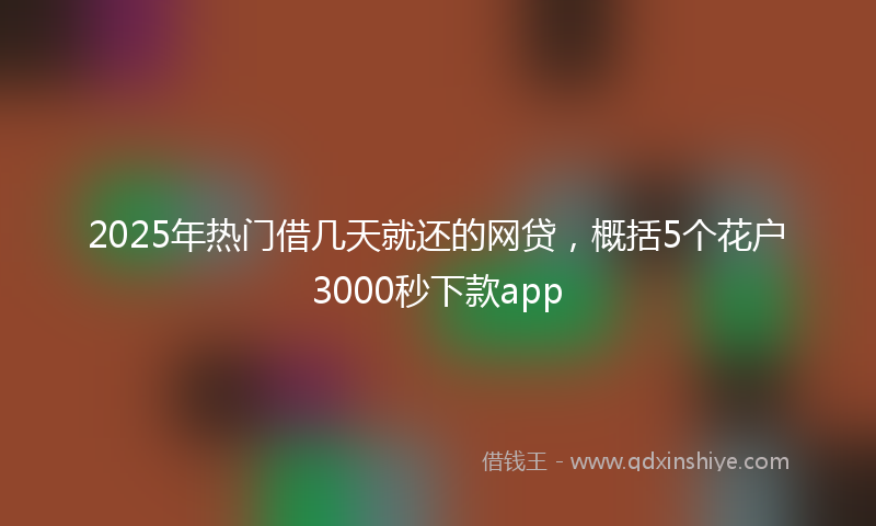 2025年热门借几天就还的网贷，概括5个花户3000秒下款app