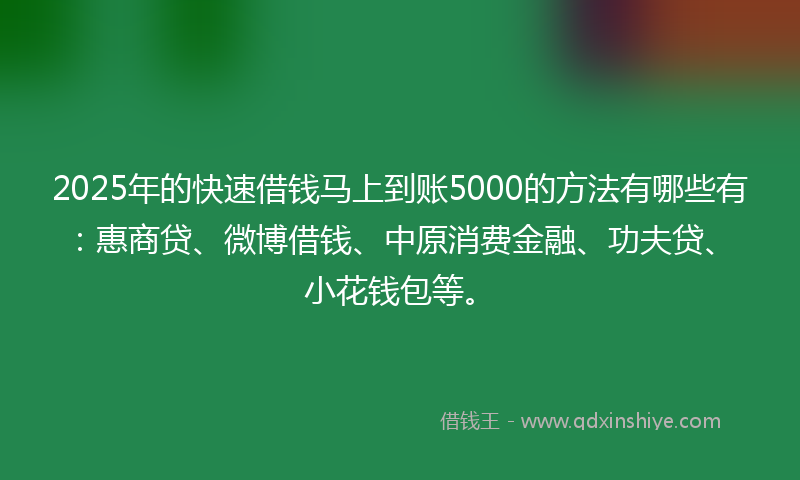 2025年的快速借钱马上到账5000的方法有哪些有：惠商贷、微博借钱、中原消费金融、功夫贷、小花钱包等。